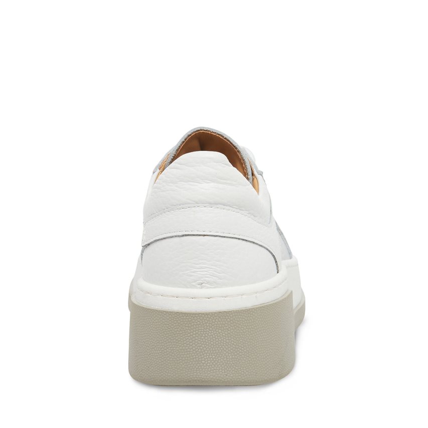 White / Silver Steve Madden Joey Women's Sneakers | PH 3042NUE